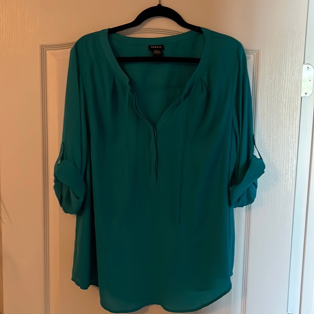 Worn once-Torrid Georgette size 2